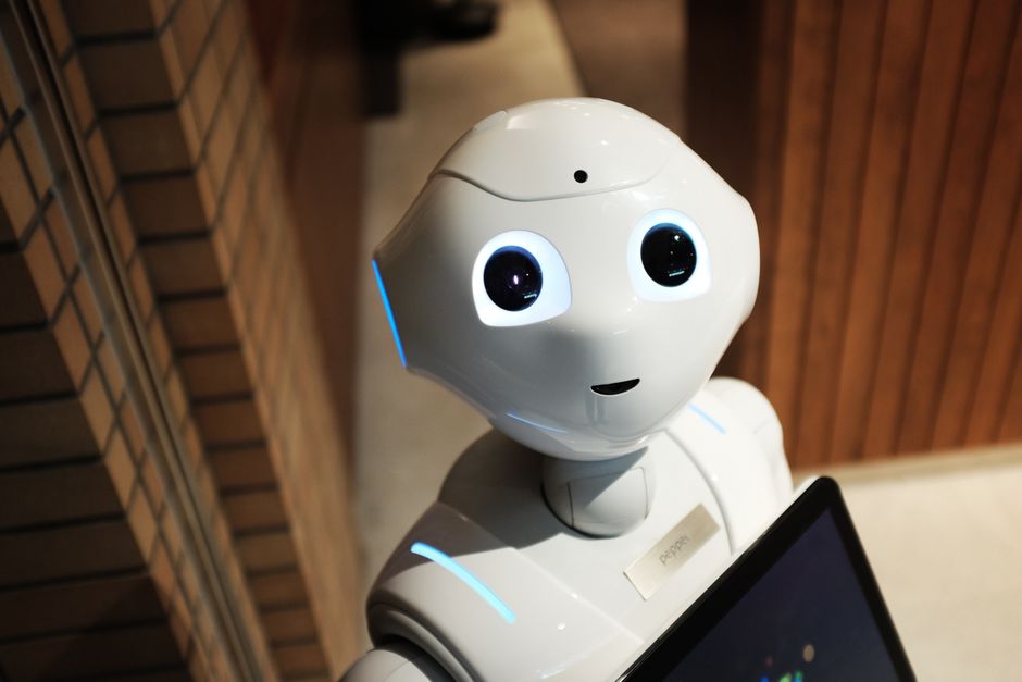Humanoidni robot